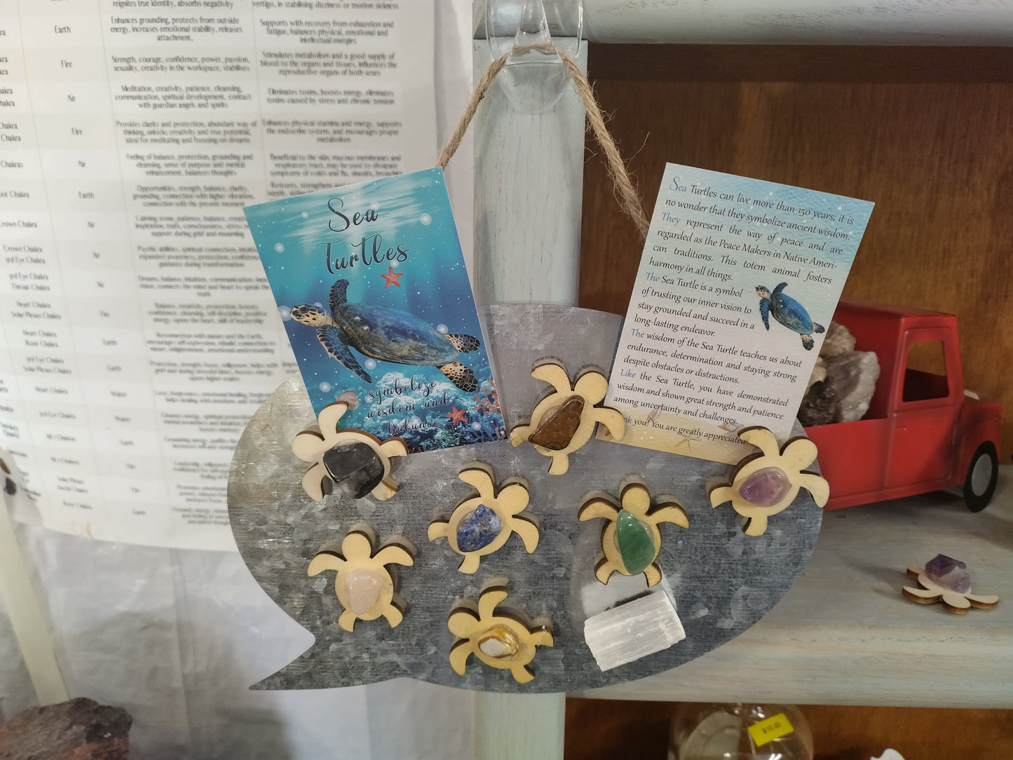 Charka Turtle Magnets 8 piece set.