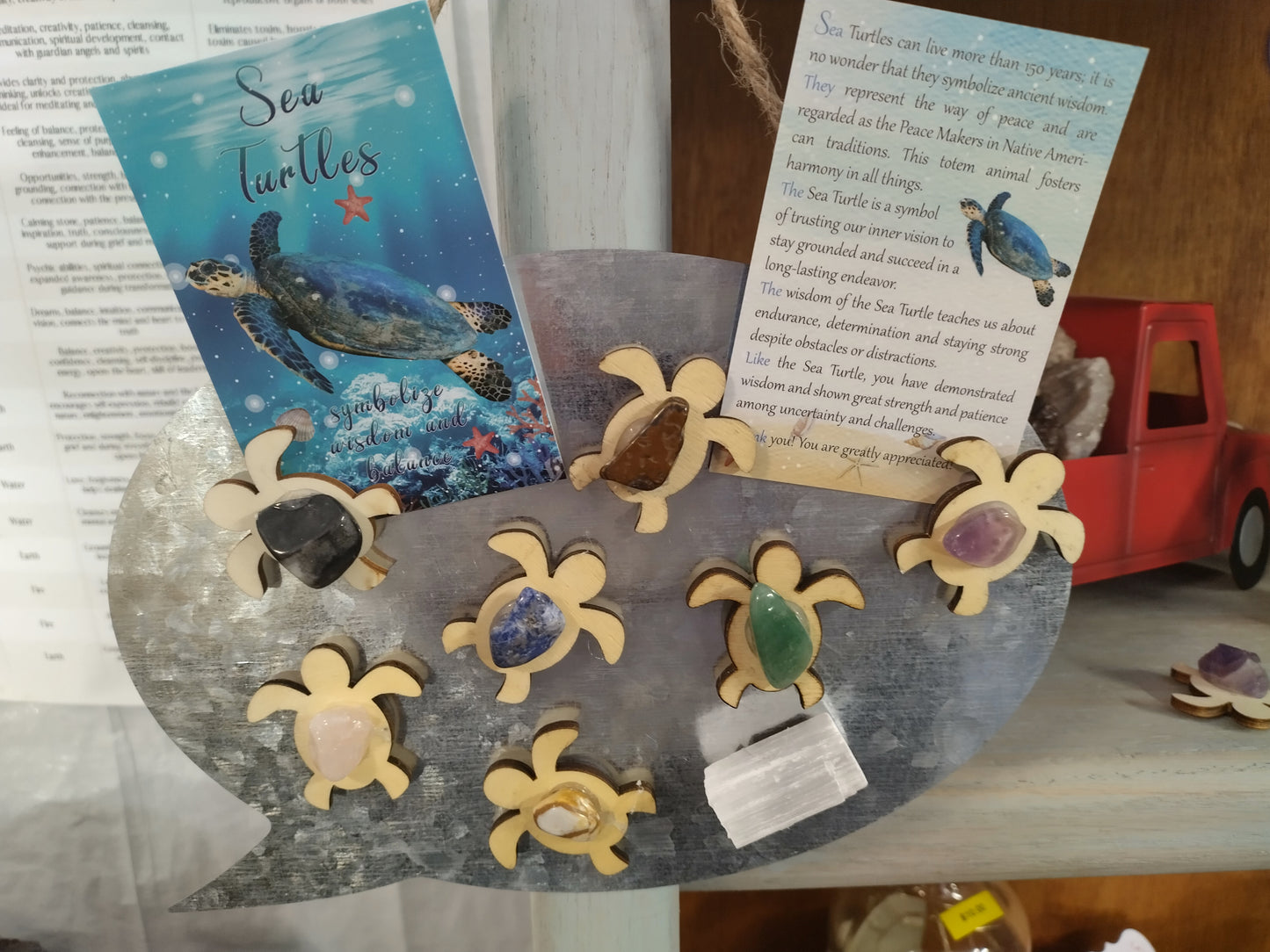 Charka Turtle Magnets 8 piece set.
