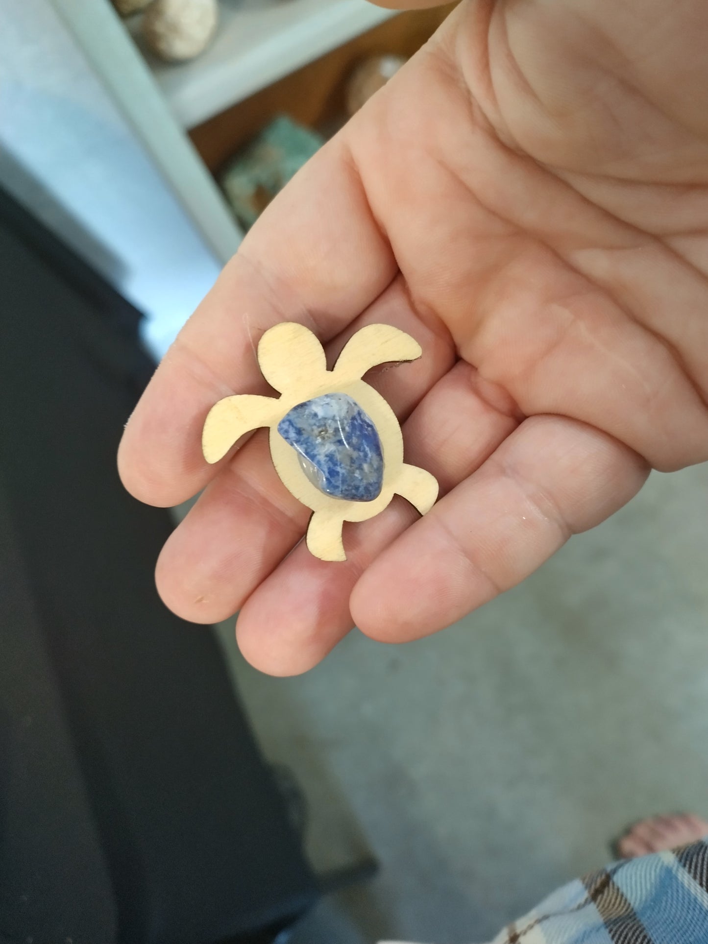 Charka Turtle Magnets 8 piece set.