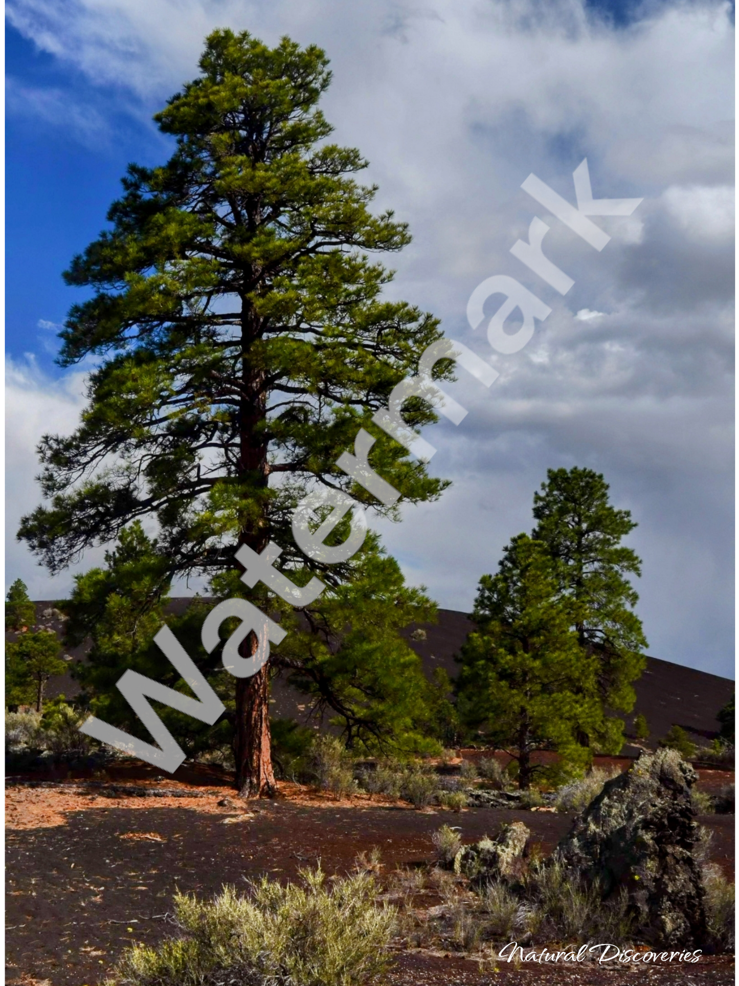 Sunset Crater Arizona