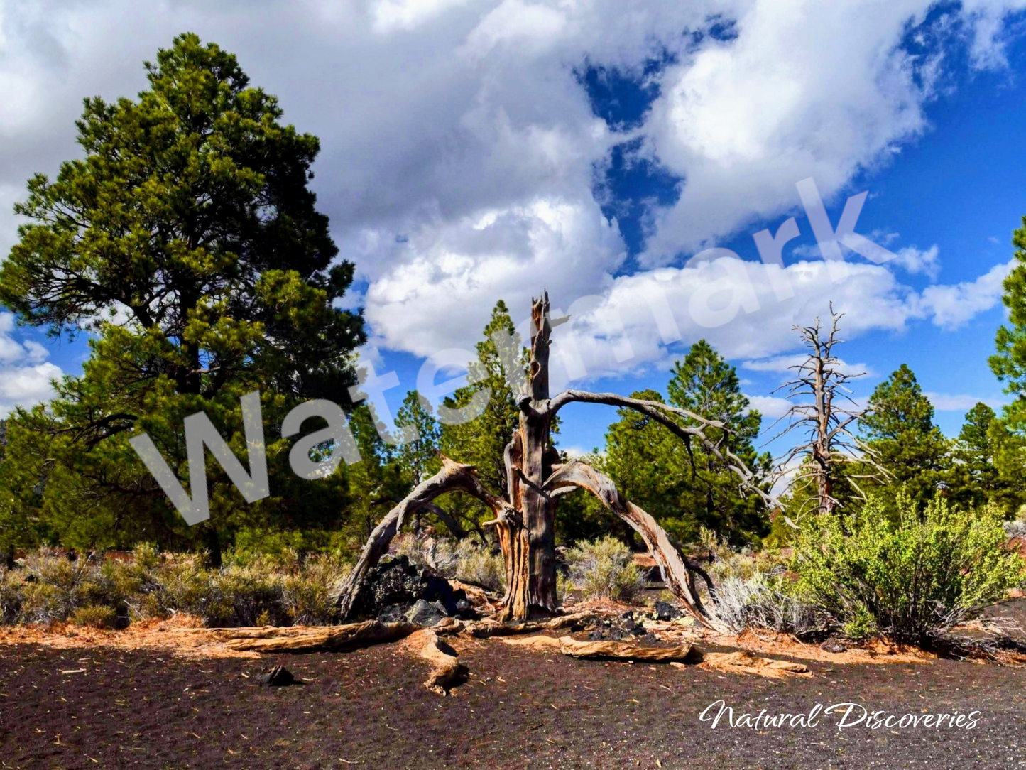 Sunset Crater Arizona