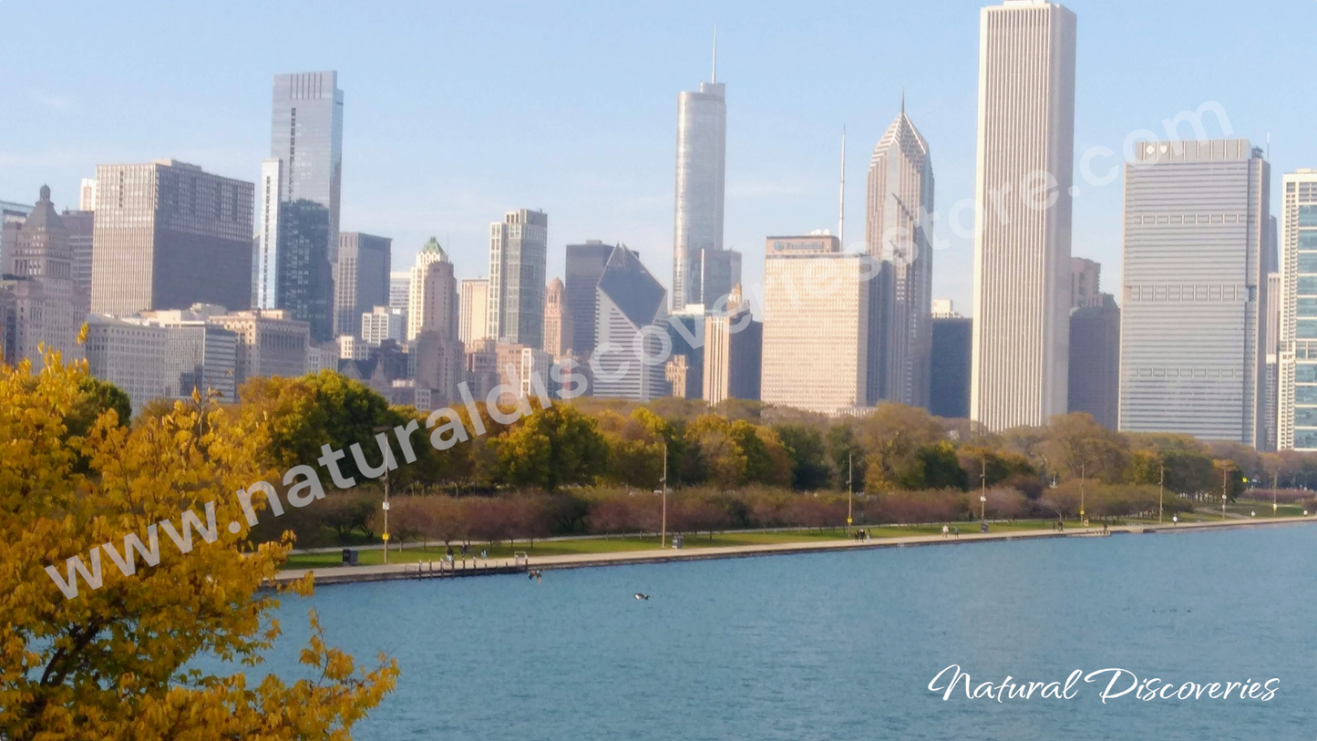 Lake Michigan Chicago