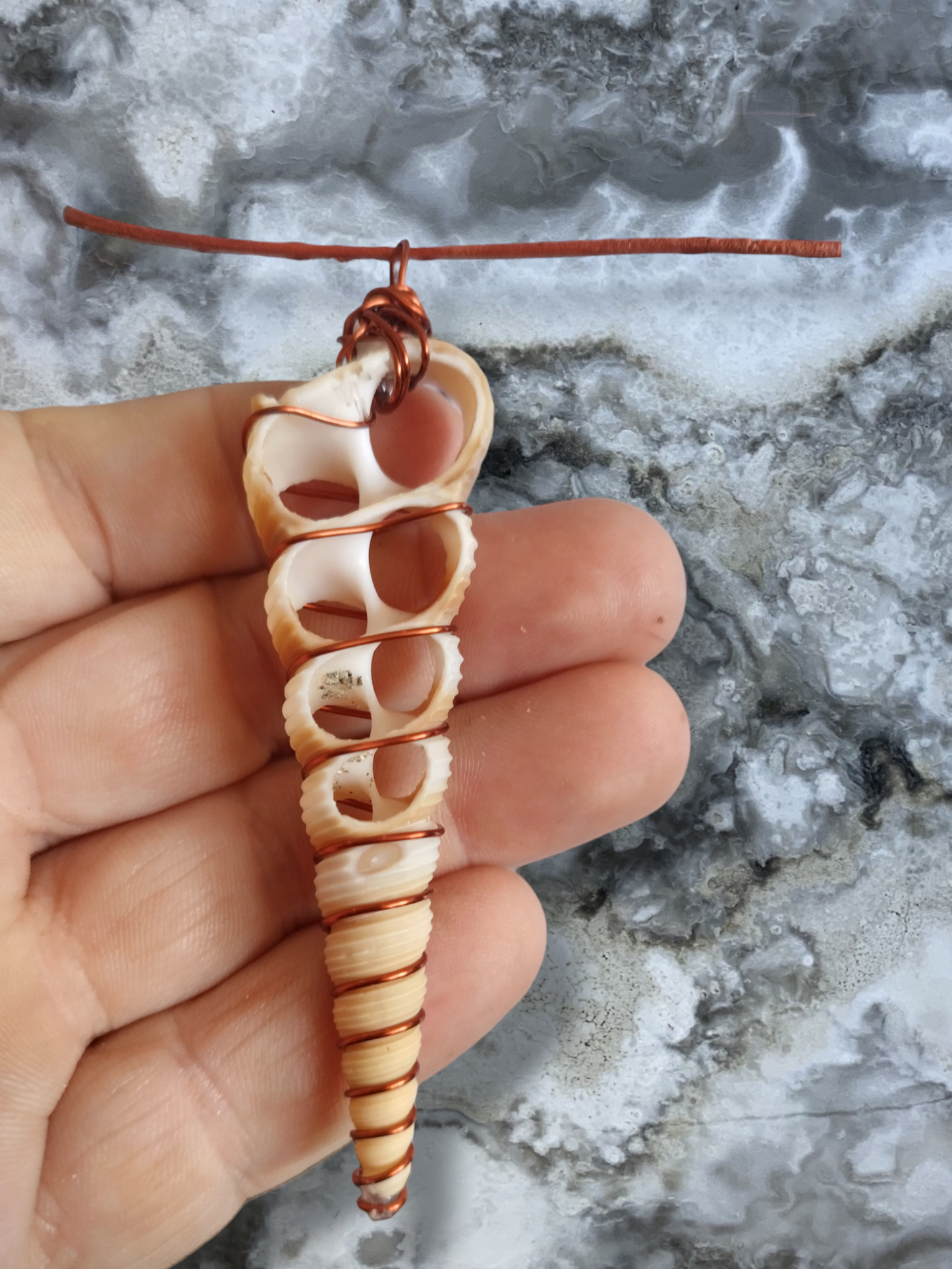 Shell hand wrapped pendant on an adjustable leather cord necklace.