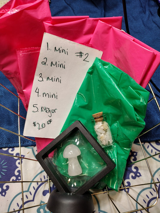 Rolled live package 5 rolls #2