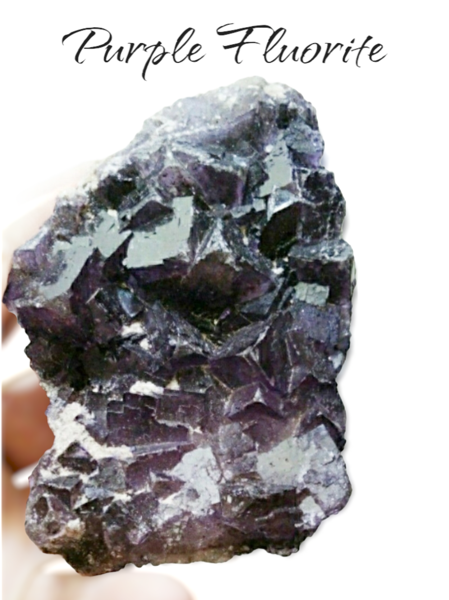 Purple Fluorite