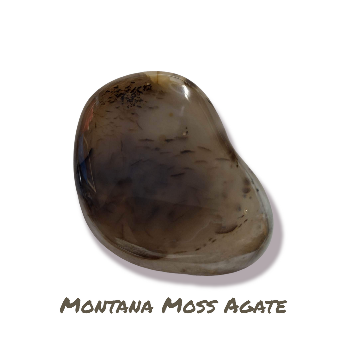 Large Montana Moss Agate palm stone