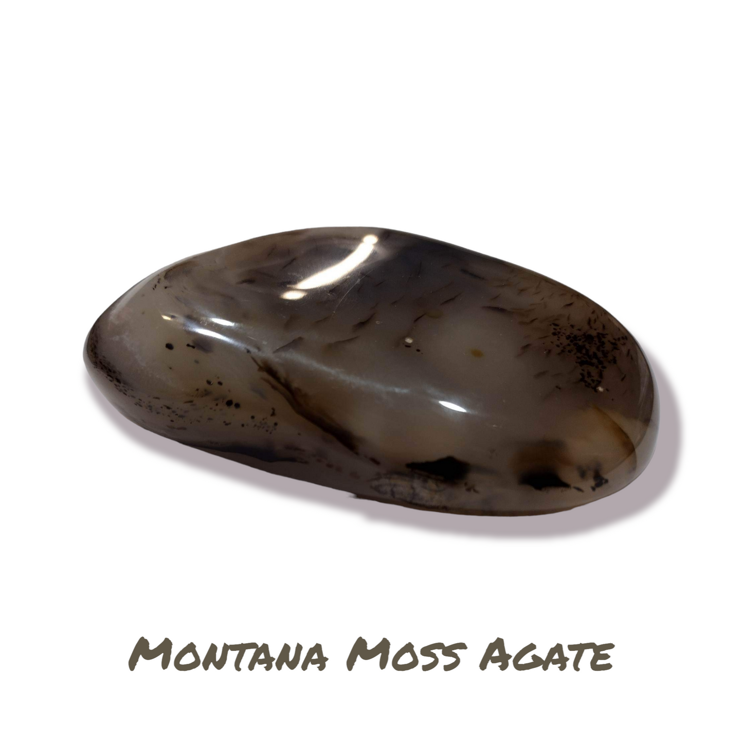 Large Montana Moss Agate palm stone