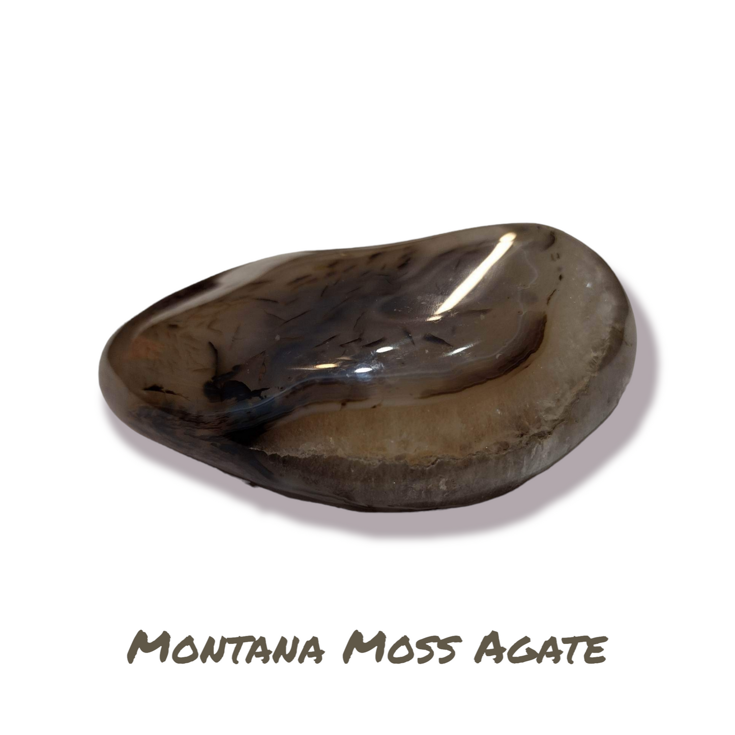 Large Montana Moss Agate palm stone