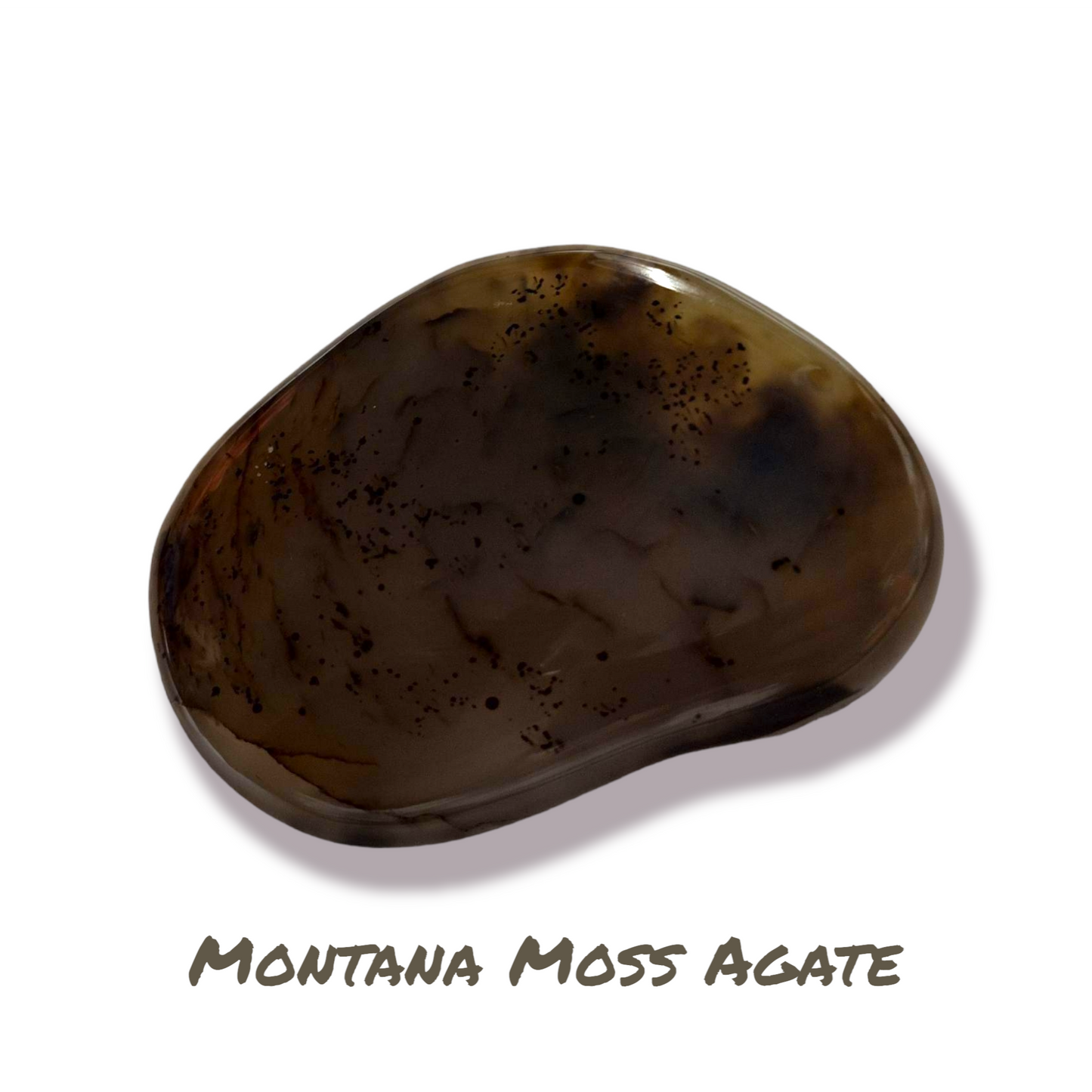 Large Montana Moss Agate palm stone