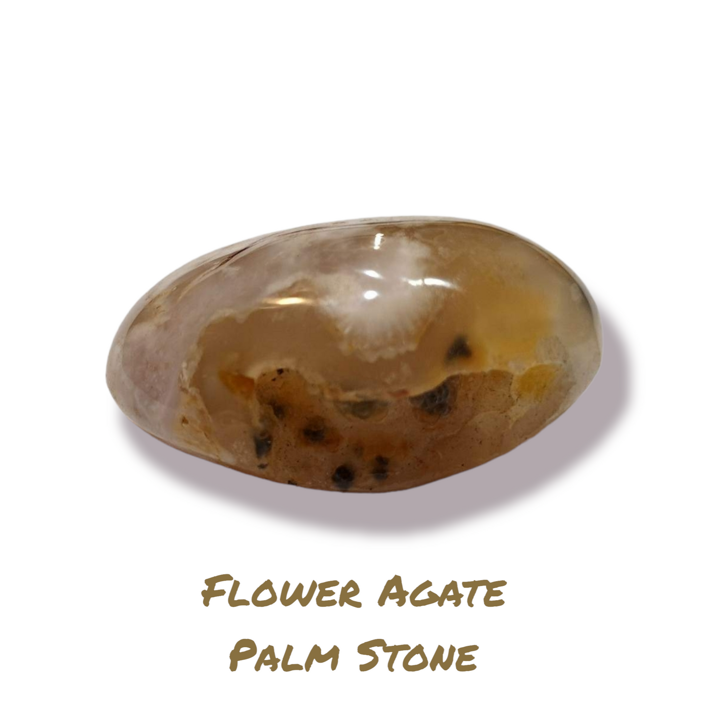 Flower Agate Palm Stone