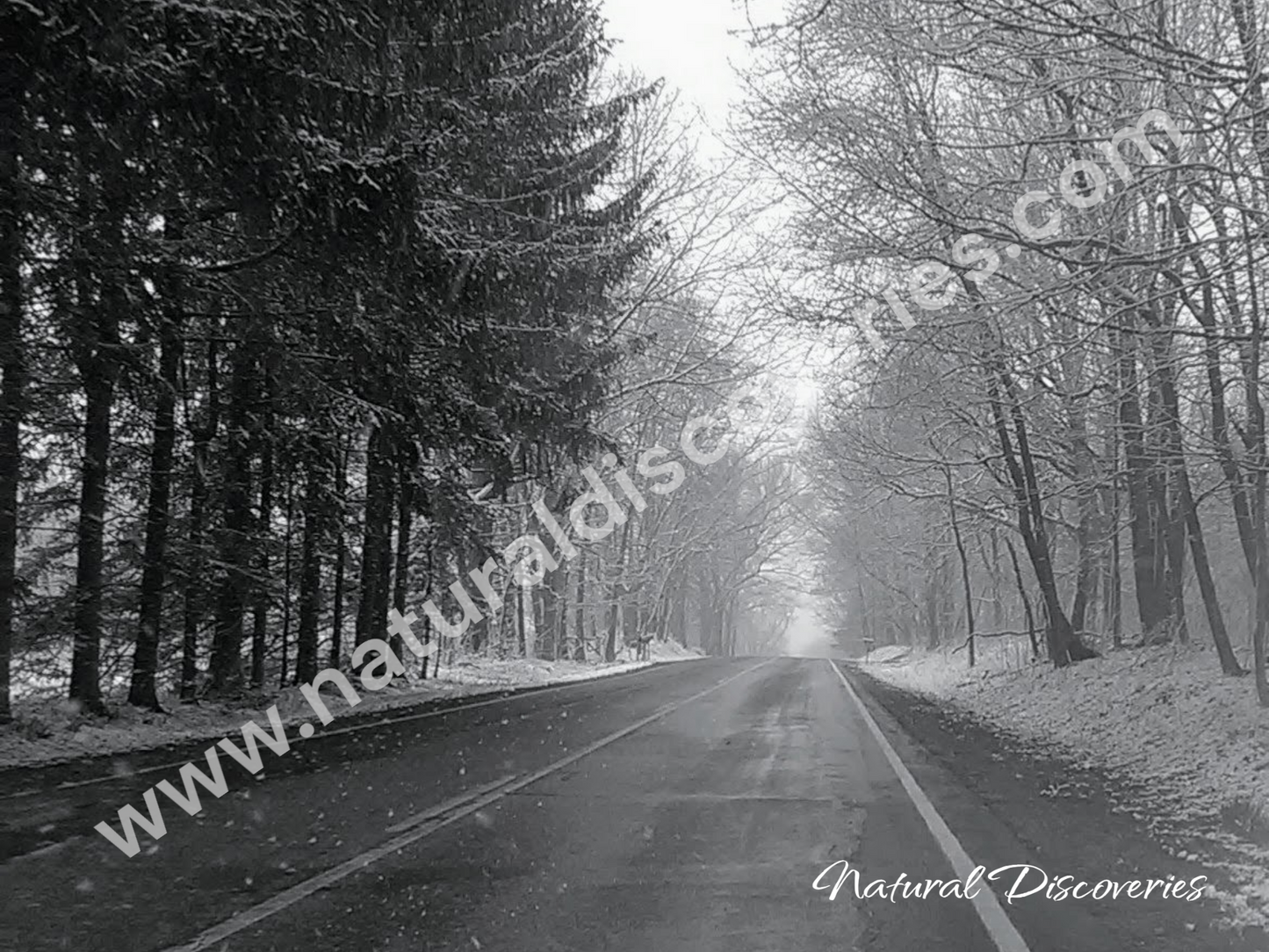 Snowy road in Michigan